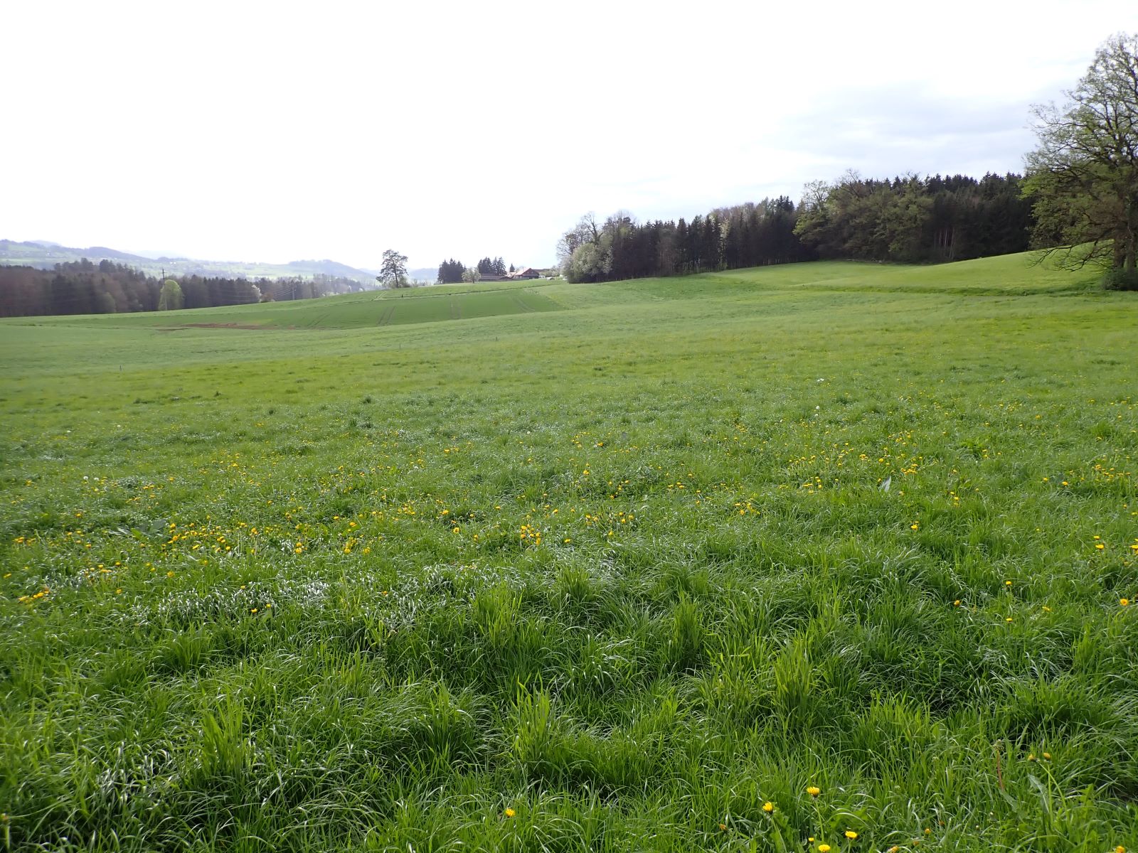 Bild1